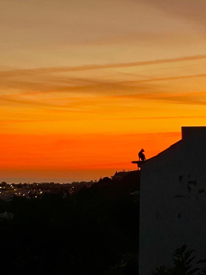 Ocean View Skyline Apartment ‚Hakuna Matata' البوفيرا المظهر الخارجي الصورة
